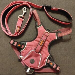 New Kong Hands-free Leash & Harness (Medium) - Pink